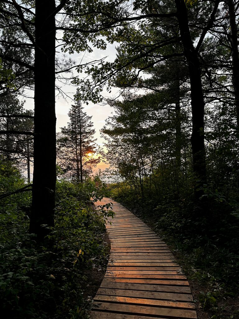 Wooden path to the beach with sunset in the distance between the trees