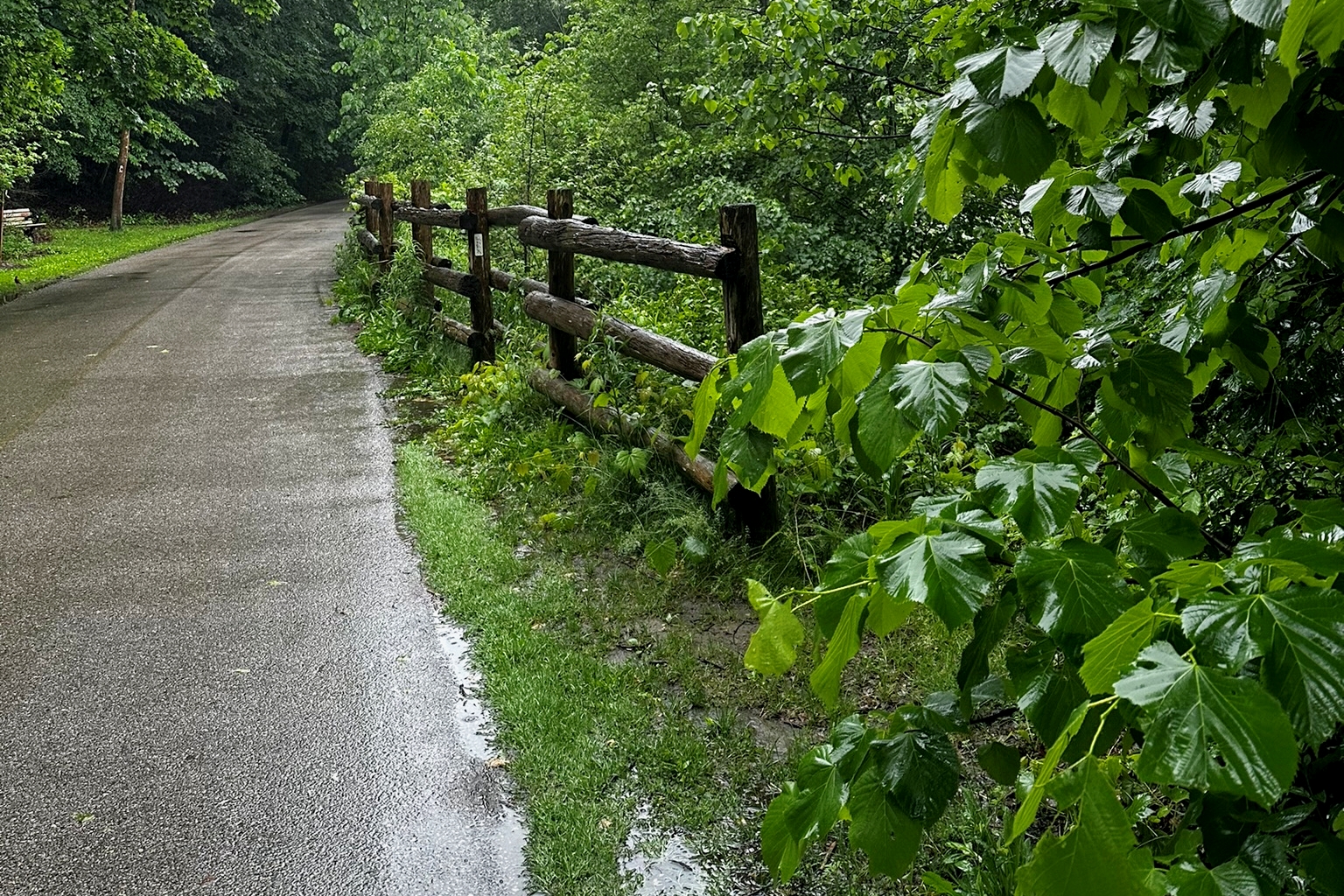 Embracing the Rain: Why Going Outside When It’s Raining is Surprisingly Good for You